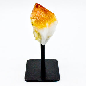 Citrine Point Display on Metal Stand