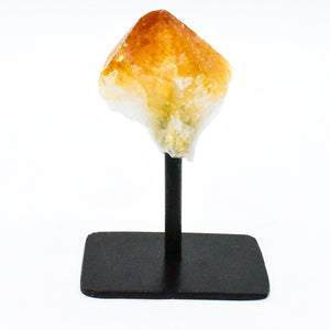Citrine Point Display on Metal Stand