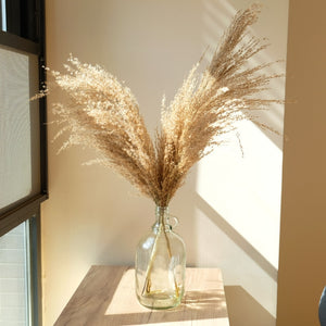 Pampas Grass with 20-22''  plastic vase