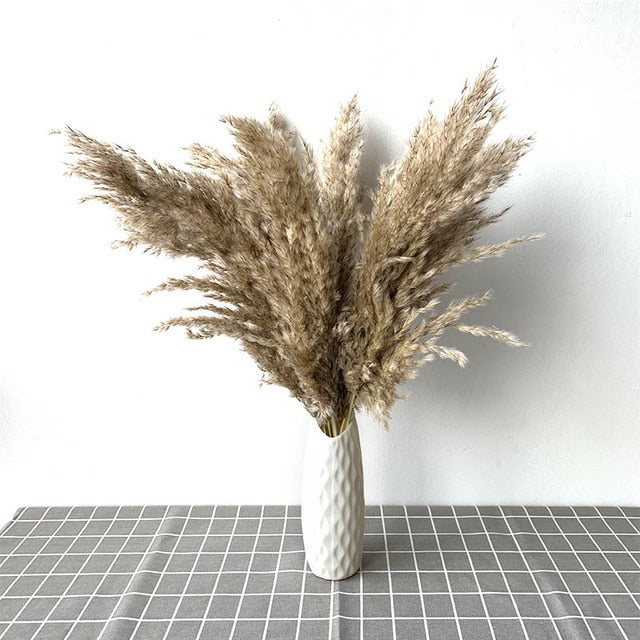 Pampas Grass with 20-22''  plastic vase