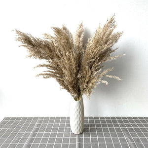 Pampas Grass with 20-22''  plastic vase