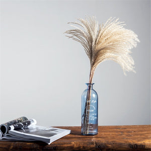 Pampas Grass with 20-22''  plastic vase