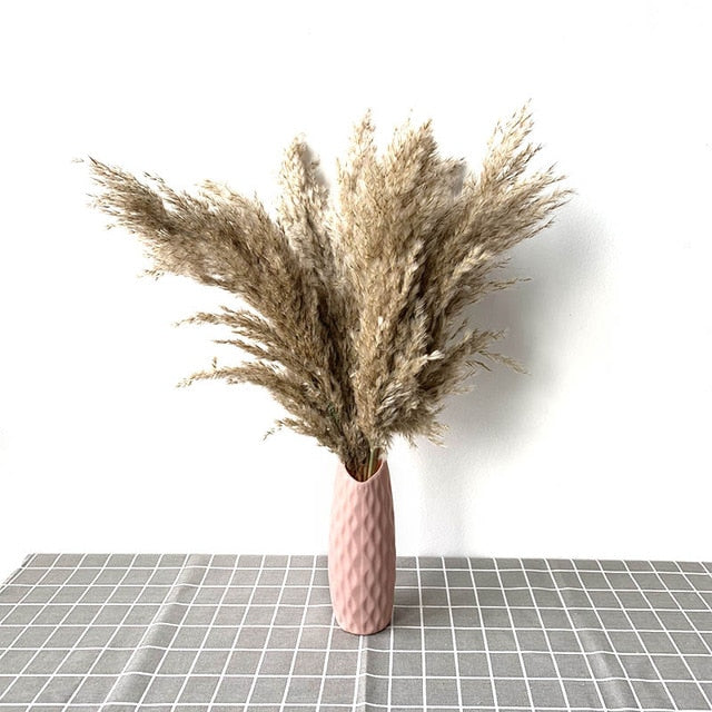 Pampas Grass with 20-22''  plastic vase