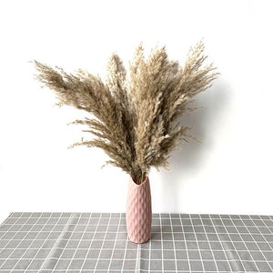 Pampas Grass with 20-22''  plastic vase