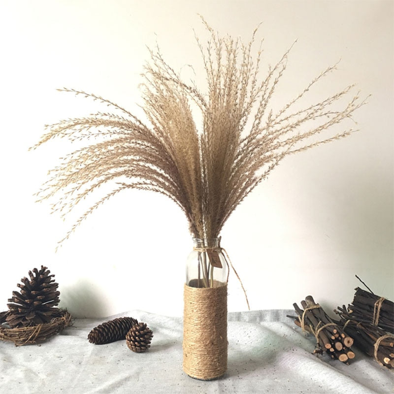 Pampas Grass with 20-22''  plastic vase