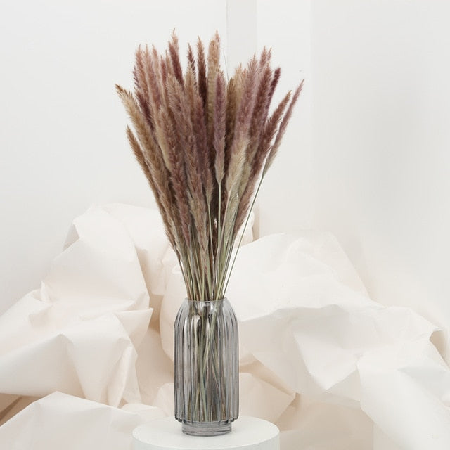 15Pcs Pampas Grass