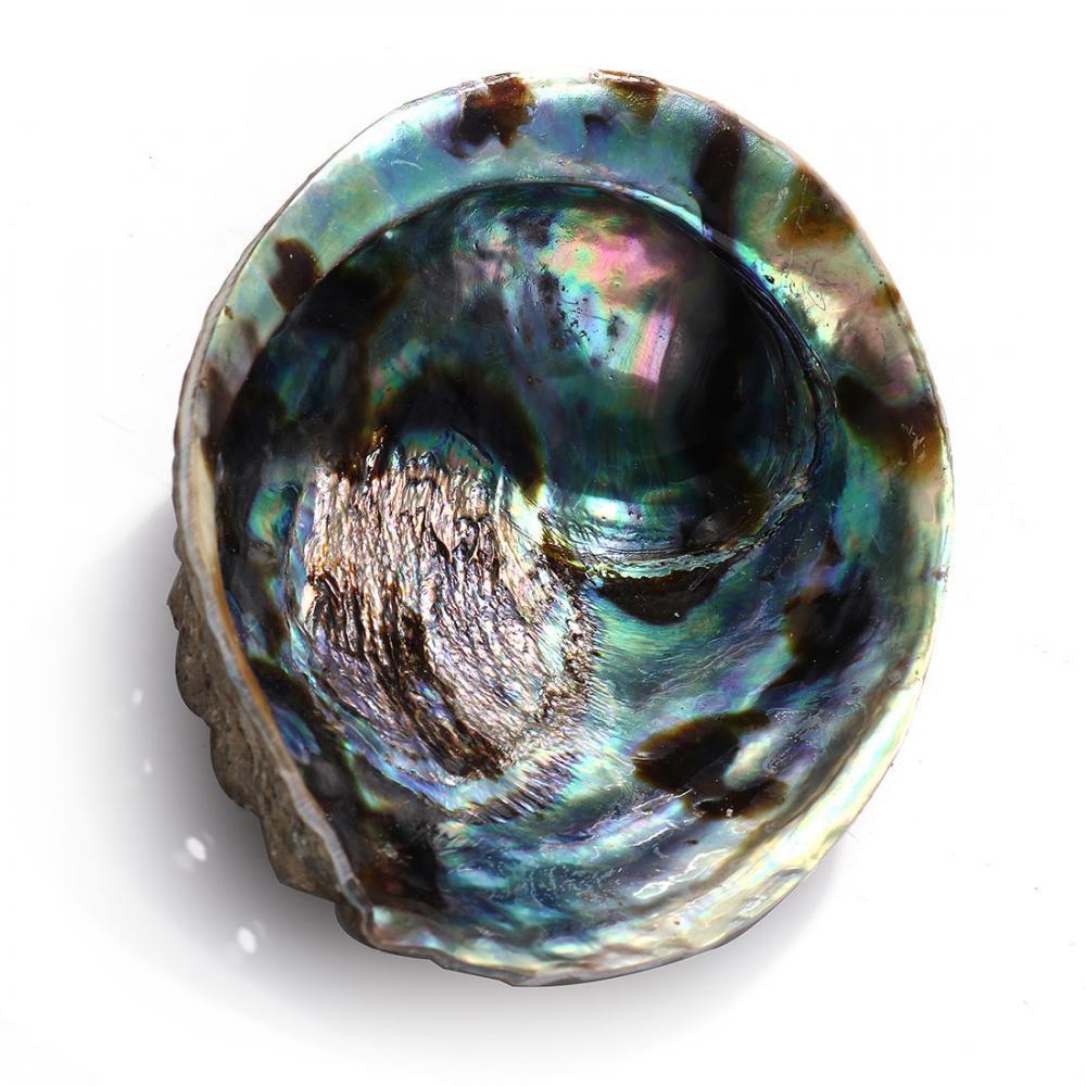 Abalone Shell Smudge Bowl